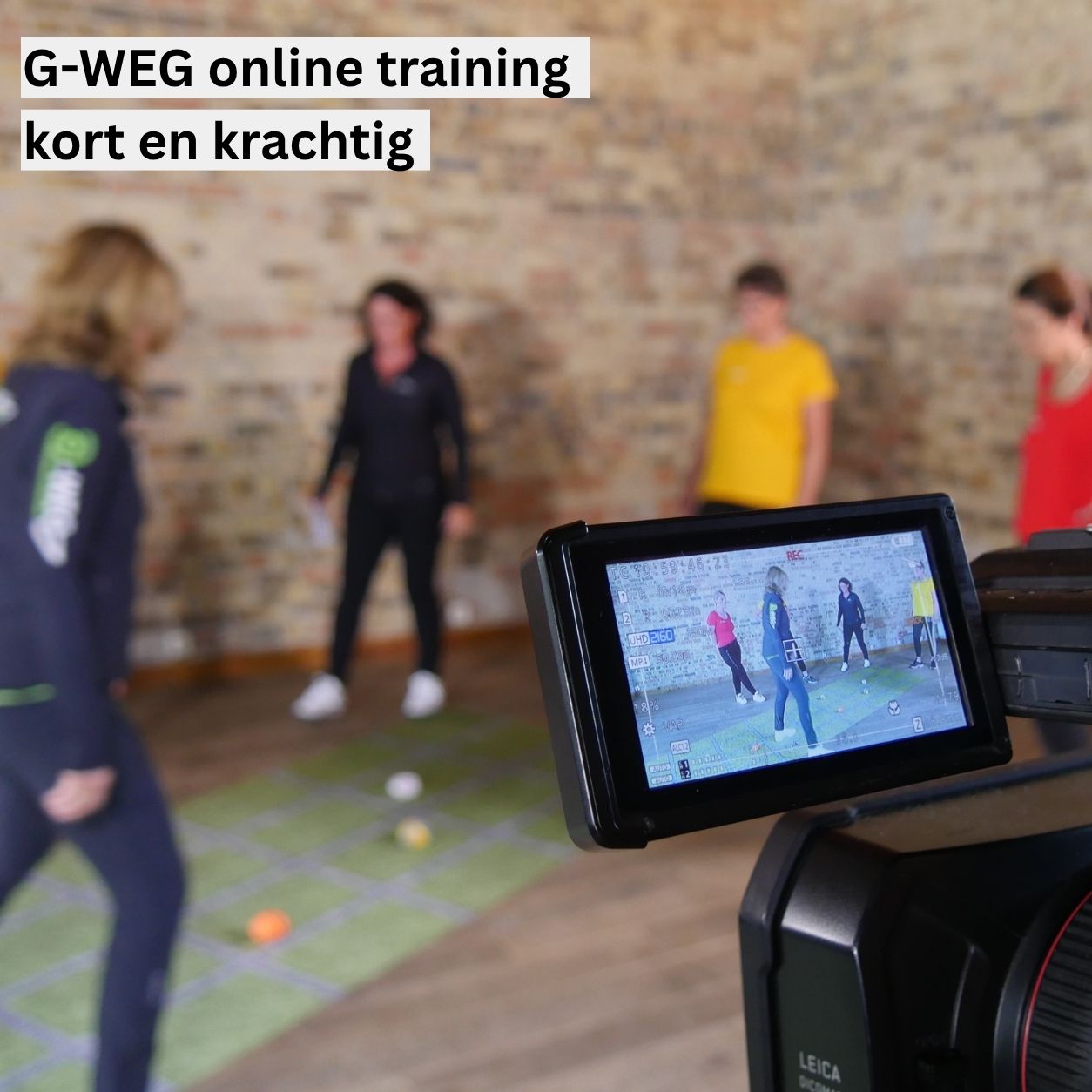 g-weg online training